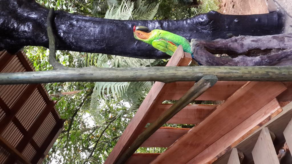 Mirador Prendas Sarapiqui Ngoại thất bức ảnh